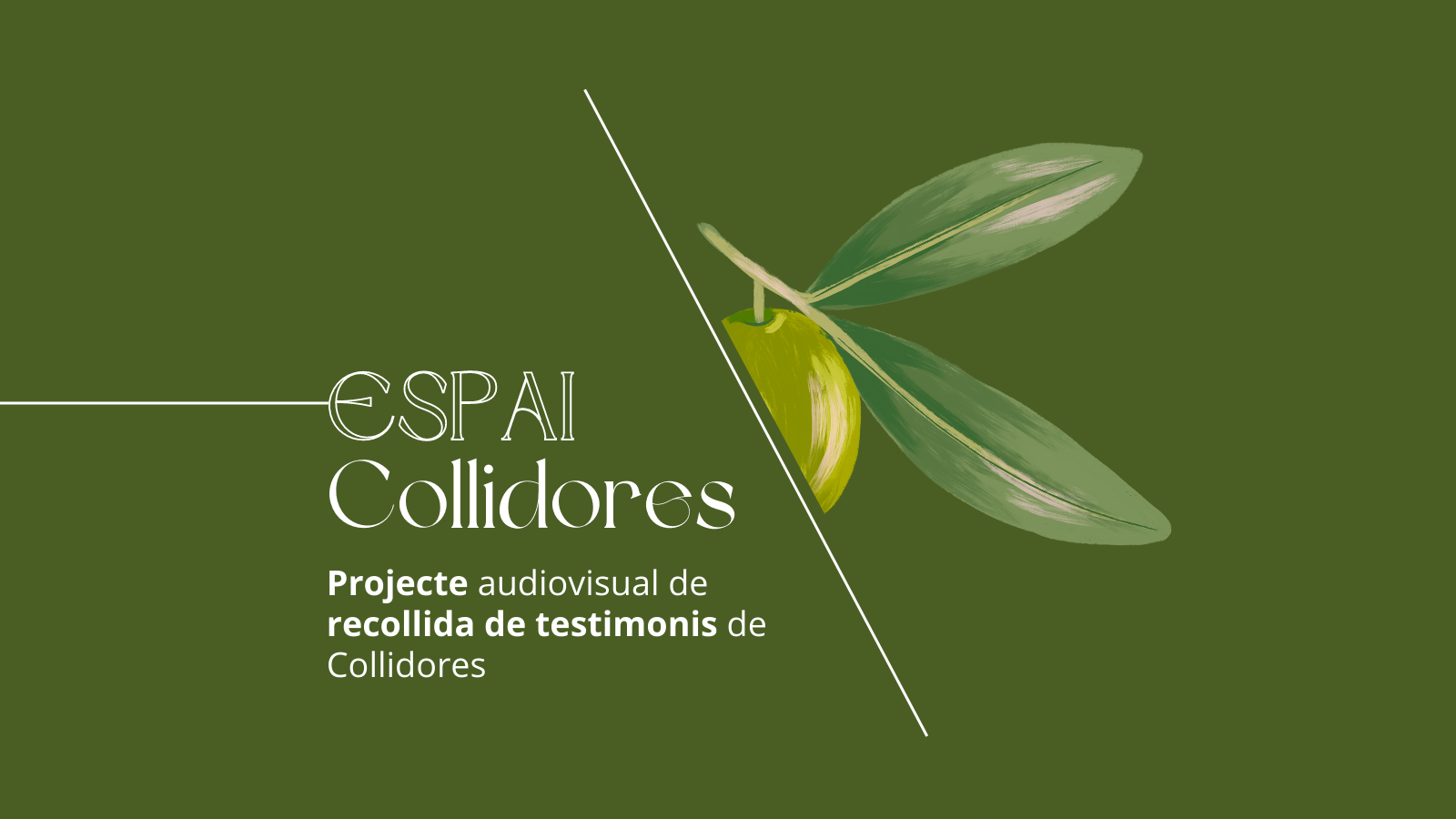 Besuche das neue 'Espai Collidores' im Centre Serra de Tramuntana
